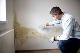 Best Biohazard Mold Removal in Trenton, MO